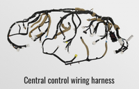 Central control wiring harness