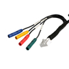 Electric tailgate wiring harness