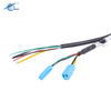 Customized 2 Pin Automotive Tailgate Camera Wiring Harness