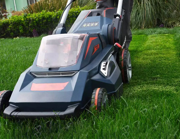 agricultural mower